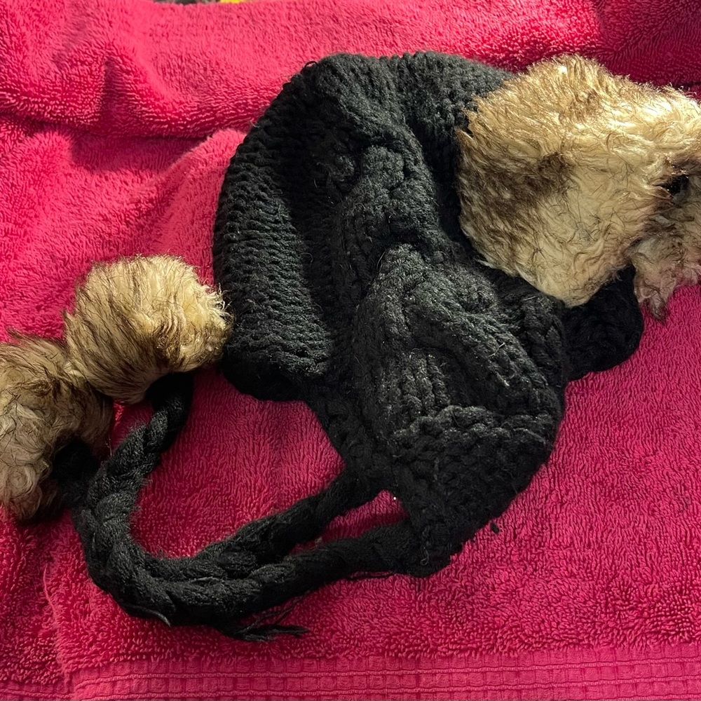 Pre-loved Lane Bryant Knit Lined Trapper Hat & ear muffs.